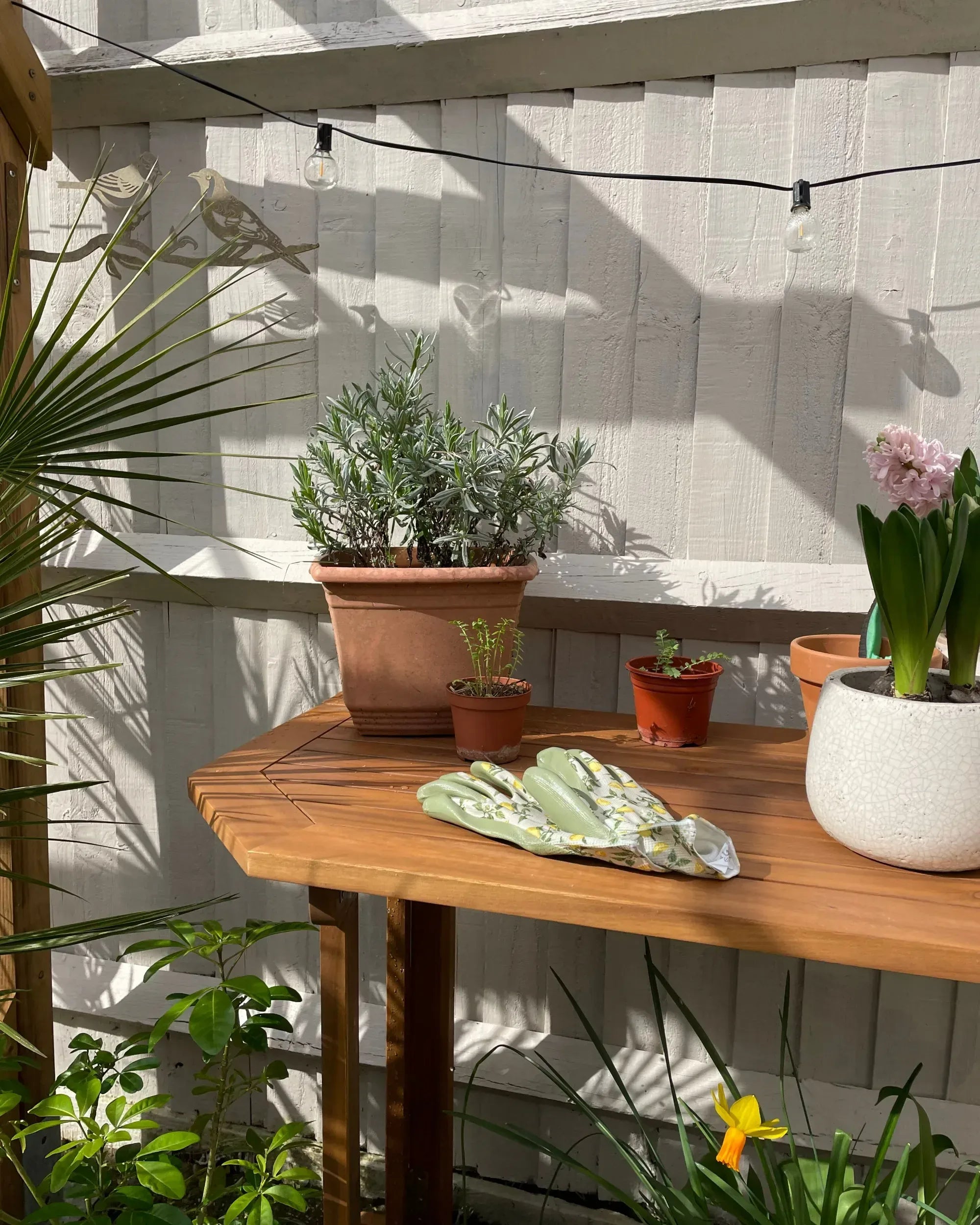Table de balcon 110 cm 47 cm Bois d'acacia Marron