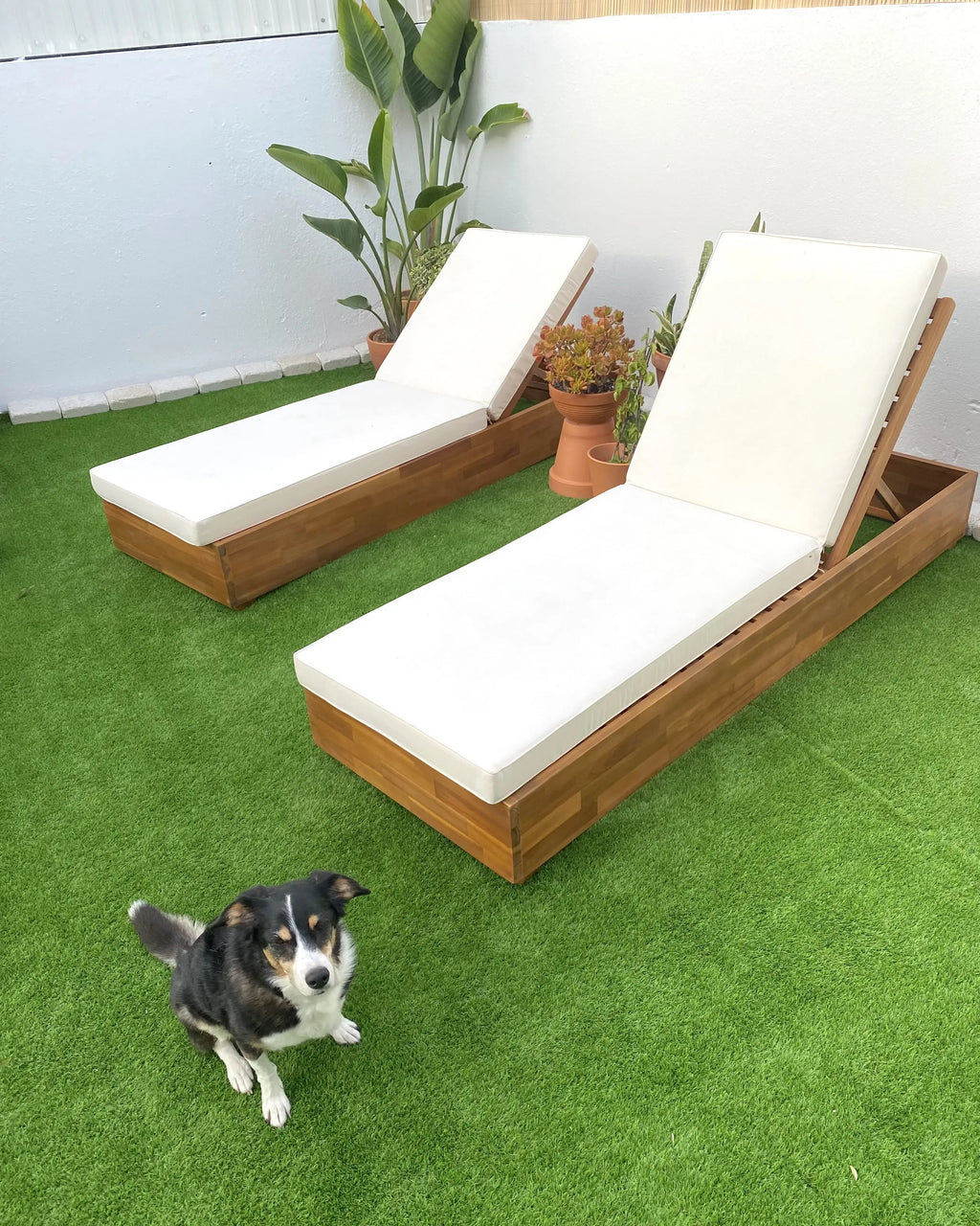 Chaise longue de jardin avec coussin en bois d'acacia marron