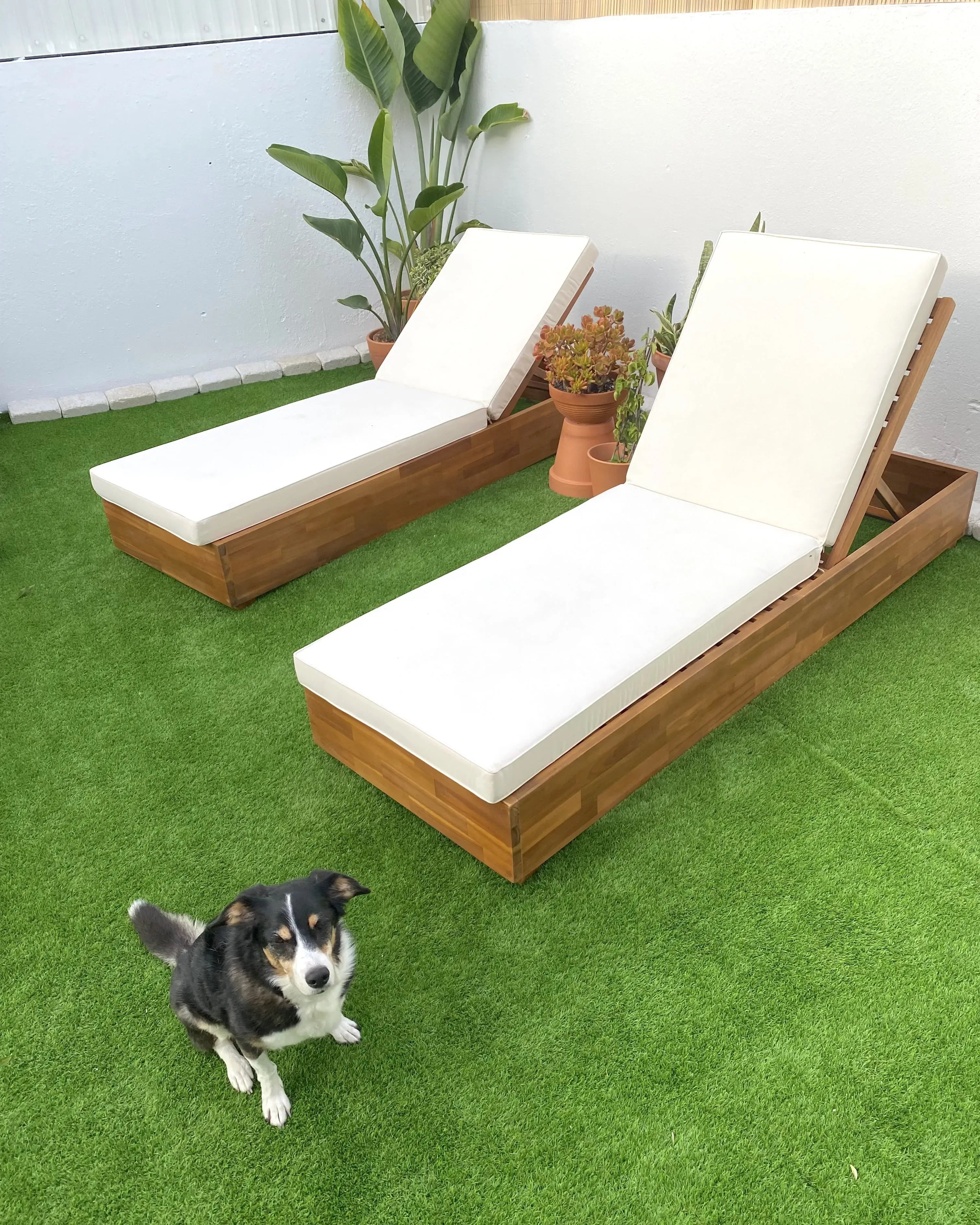 Chaise longue de jardin avec coussin en bois d'acacia marron